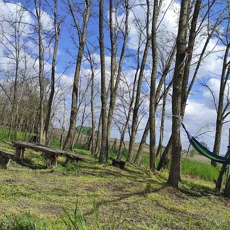 Mirella33 Apartment *