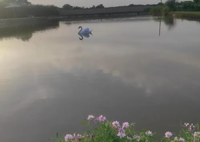 Apartmán Mirella33 Palić